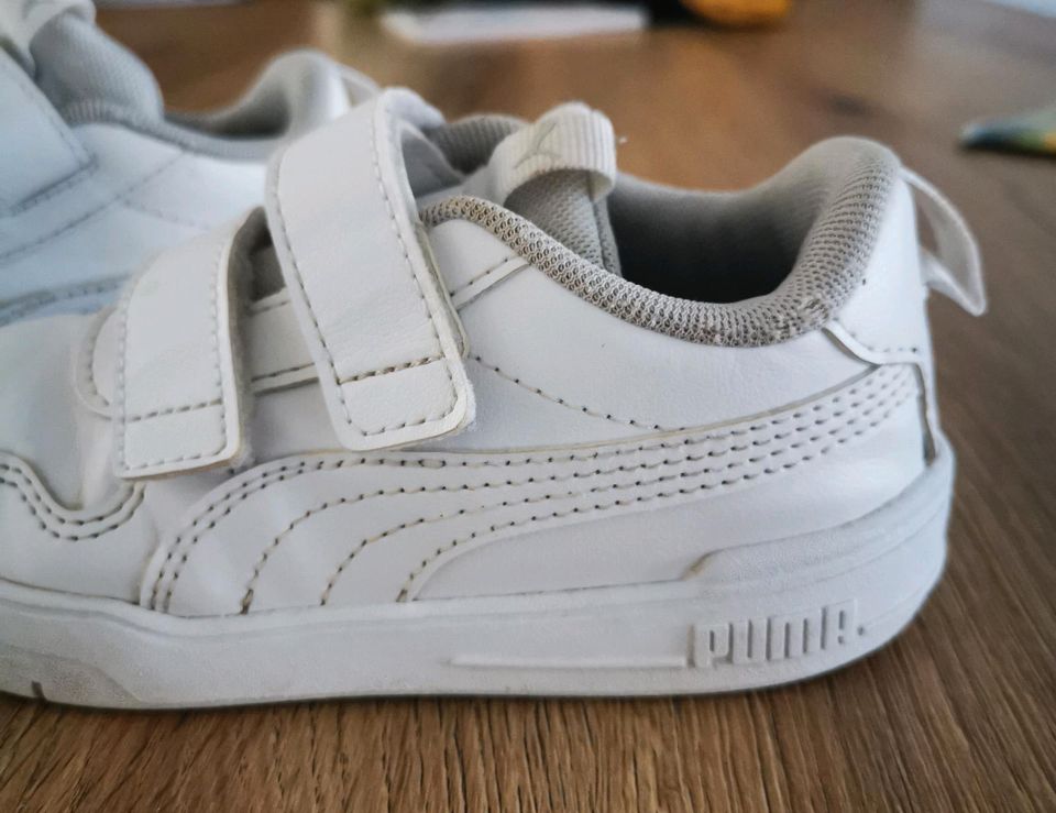 Puma Sneaker in Venhaus