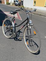 Fahrrad Pegasus 5 Gang Torpedo Schaltung Bonn - Graurheindorf Vorschau