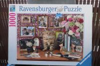 Ravensburger Puzzle 1000 Teile  Meine Kätzchen schönes Motiv Hessen - Usingen Vorschau