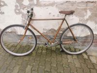 28er custom Bike 3 Gänge Rostock - Kröpeliner-Tor-Vorstadt Vorschau