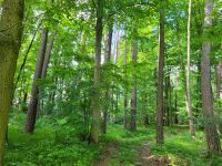 Waldgrundstück Bayern - Heroldsberg Vorschau