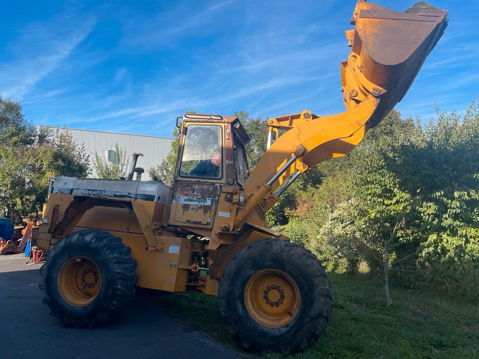 Radlader IHC 515,Knicklenker in Igersheim