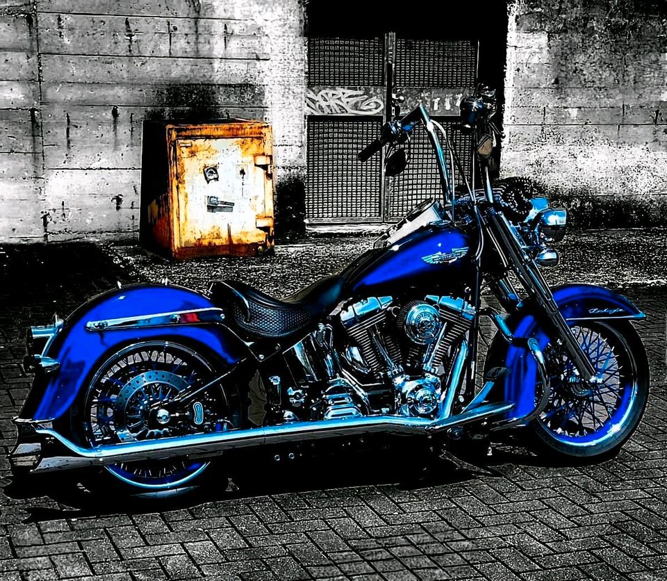 Harley Davidson Softail Deluxe in Wuppertal