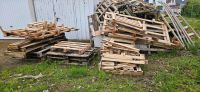 Brennholz zu verschenken Hessen - Baunatal Vorschau