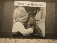 Mein Esel Benjamin Nordrhein-Westfalen - Harsewinkel Vorschau