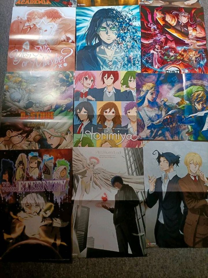 Verschiedene Anime Poster Aot Pokemon Demon Slayer Vanitas mha bl in Harsum