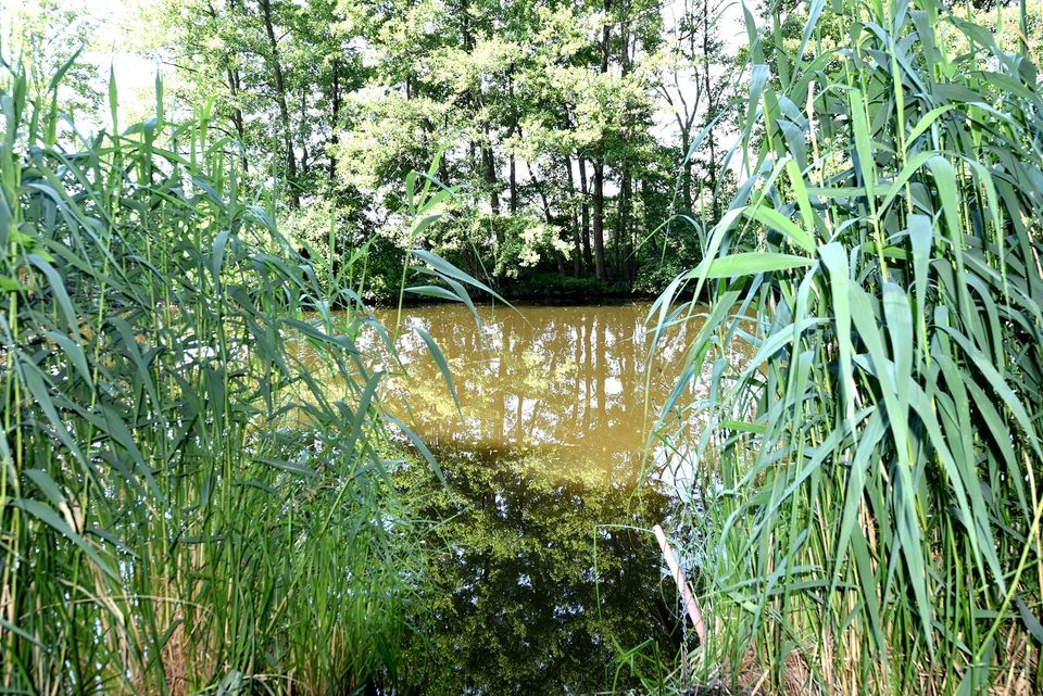 5.946 m² Grundstück am Fluss, traumhafte Lage in Prieros, nahe Berlin in Heidesee