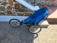 Baby Jogger II 20-Alloy Kinderwagen Hessen - Ehringshausen Vorschau