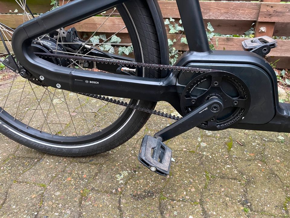 ‼️ Carqon Lastenfahrrad E-Lastenrad stufenlose Enviolo Nabe in Wunstorf