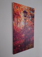 Bild / Wandbild auf Keilrahmen (45 x 80 cm) Niedersachsen - Liebenburg Vorschau