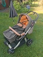 Kinderwagen Hartan Racer Rheinland-Pfalz - Asbach Vorschau