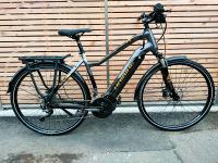 Haibike sduro Trekking 6.0 E-Bike ebike Yamaha Antrieb Hessen - Langgöns Vorschau