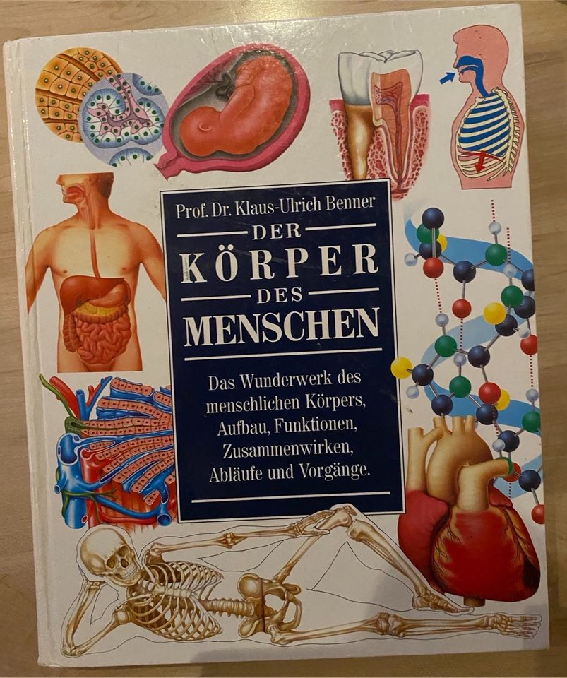 Der Körper des Menschens in Bad Schwartau