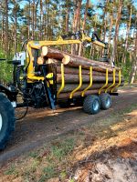 14,5t Holzrückewagen Rückewagen mit Forstkran 700cm Sachsen-Anhalt - Salzwedel Vorschau