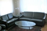 Maßanfertigung: Leder - Couch 3-Sitzer + 2-Sitzer, Glastische Hamburg-Mitte - Hamburg Wilhelmsburg Vorschau