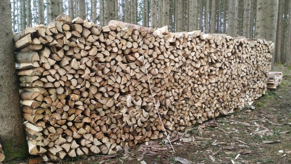 Brennholz zu verkaufen in Haldenwang i. Allgäu