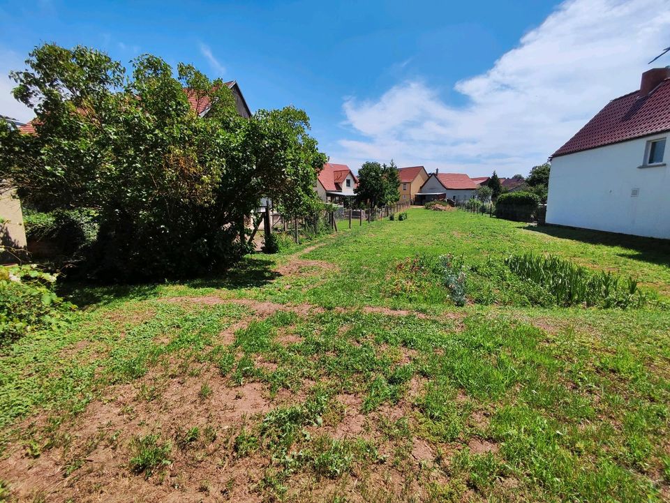 Grundstück mit 2 Häusern+ Nebengebäuden + Garten auf 1750m2 in Ebeleben