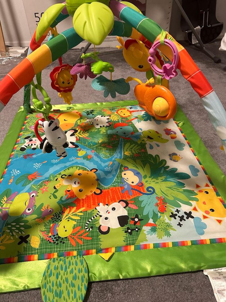 Spielbogen „ Dschungel „ von Fisher Price in Burgdorf