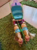 Barbiespielzeug  Boot Puppen usw Nordrhein-Westfalen - Drolshagen Vorschau
