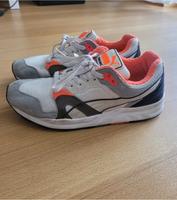 Puma Trinomic Bayern - Rosenheim Vorschau