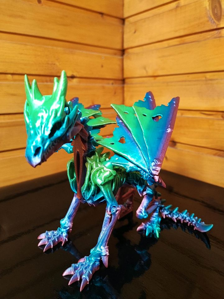 Skelett Knochen Fächer Drachen mit 2 Flügelarten 3D Druck Flexi in Herford