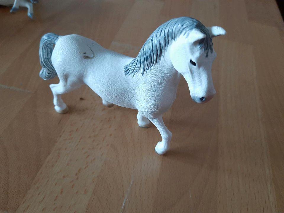 12 Scheich Tiere Figuren Pferd Pegasus Einhorn in Nettetal