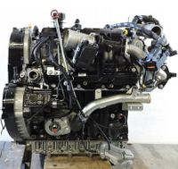 Fiat Ducato Iveco 2,3L 180PS F1AGL411A Motor Triebwerk Engine Nordrhein-Westfalen - Dorsten Vorschau