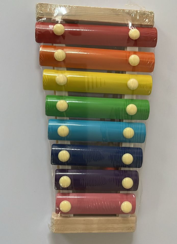 50 x Xylophon Kinder Glockenspiel Musikinstrument in Stolberg (Rhld)