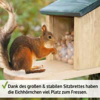 Eichhörnchen Futterstation 328 Nordrhein-Westfalen - Ostbevern Vorschau