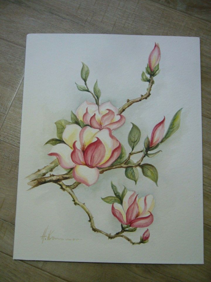 Aquarell Bild Magnolie v.Künstler H. Kammerer 1980er in Neumarkt i.d.OPf.