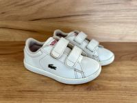 Lacoste Baby Sneaker Kinder Schuhe Gr. 23 Brandenburg - Frankfurt (Oder) Vorschau