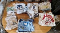 50 teile schönes Starterset babykleidung  größe 50 junge unisex Schleswig-Holstein - Bergenhusen Vorschau