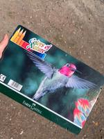 Faber-Castell 36 Colors of Nature Buntstifte Niedersachsen - Wildeshausen Vorschau