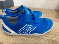 GEOX Schuhe/ Sneaker für Jungen Gr. 29 Rheinland-Pfalz - Schönenberg-Kübelberg Vorschau