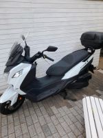 Sym Joymax Z 300i, neuer TÜV,  sehr gepflegt Berlin - Steglitz Vorschau