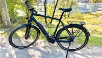 Stevens E-8X Tour Gent 2021 EBIKE Pedelec RH 61cm 4393km Sachsen - Werda Vorschau