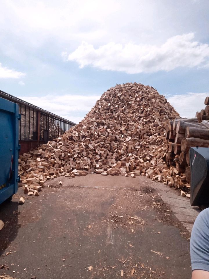 Nadelholz trocken, Kaminholz, Brennholz, Ofenholz, trocken, 25cm in Reinfeld