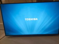 Fernseher TV Toshiba LCD Colour TV Neustadt - Huckelriede Vorschau