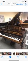 Konzertflügel C.Bechstein B 203, Palisander 16900.-Euro Bayern - Oberthulba Vorschau