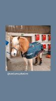 Bemer Horse Decke Nordrhein-Westfalen - Meschede Vorschau
