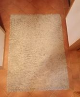 Hochflor Teppich beige 120x170 Niedersachsen - Sauensiek Vorschau