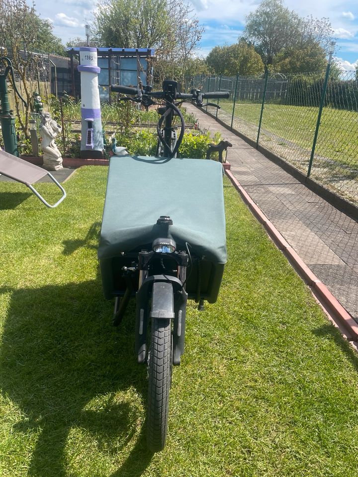 Load 60 Riese und Müller Touring in Mörfelden-Walldorf