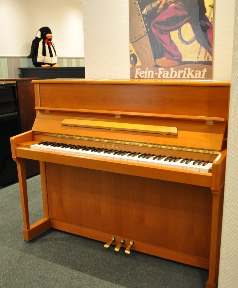 Schimmel 120 TN Klavier in Kirschbaum in Friedberg (Hessen)