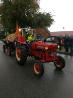 IHC Mc Cormick D 432  international Schleswig-Holstein - Högsdorf Vorschau