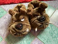Hausschuhe Hund Gr.40 Bayern - Jettingen-Scheppach Vorschau