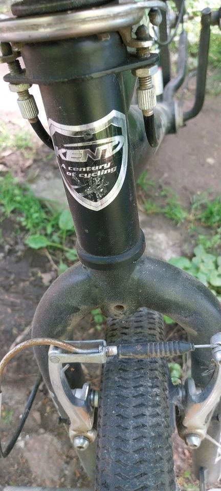 BMX Fahrrad , 20 Zoll in Hecklingen