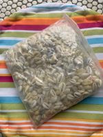 ⭐️ 1kg Muscheln Kauri Muscheln Seashell basteln Duisburg - Rheinhausen Vorschau