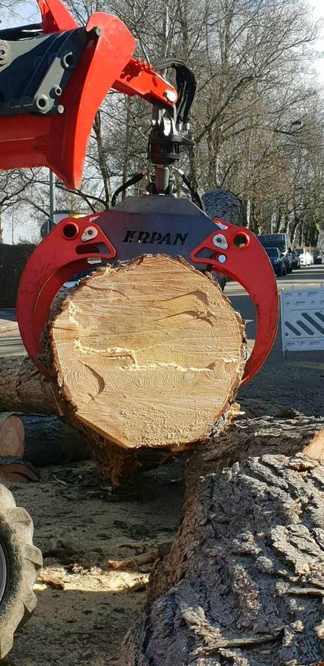 Baumfällung  Baumarbeiten Baumfäller Baumpflege Fällung in Kempten