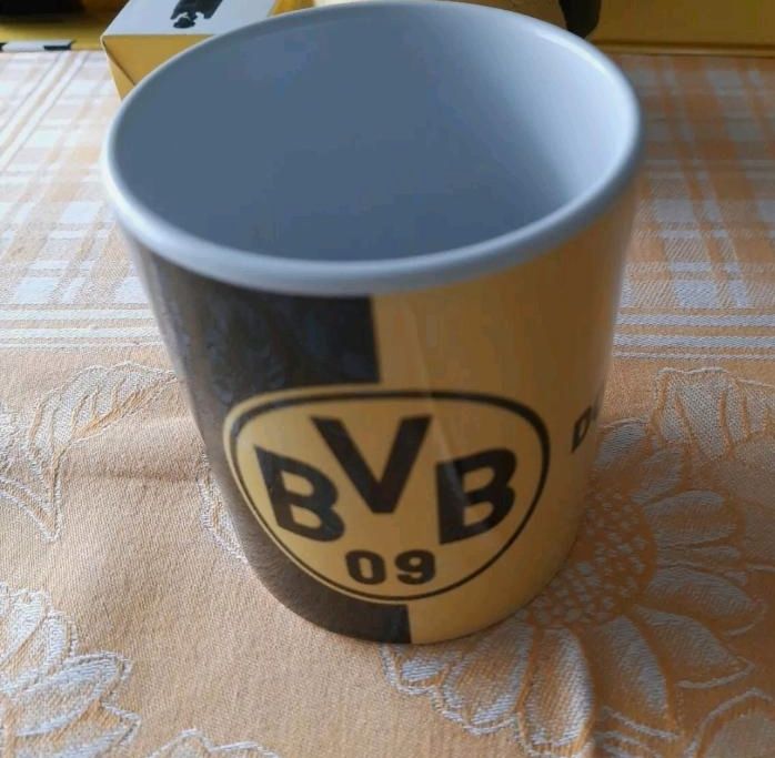 BVB Fussball- Sammlung in Spenge