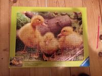 Puzzle die Enten Bayern - Bischberg Vorschau